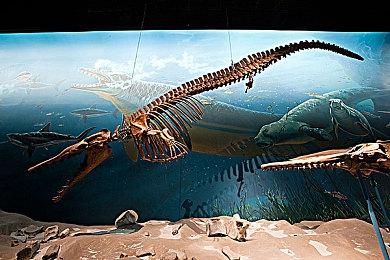 《沉睡旅行》Steam页面上线 死亡睡眠冒险