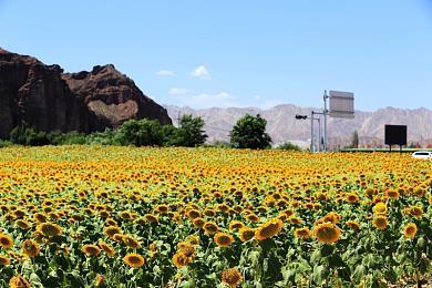 《传说之下》将举办管弦音乐会 庆祝游戏发售10周年