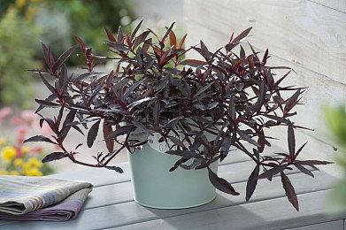 《银河战士》官网更新 重申《Prime 4》2025年发售